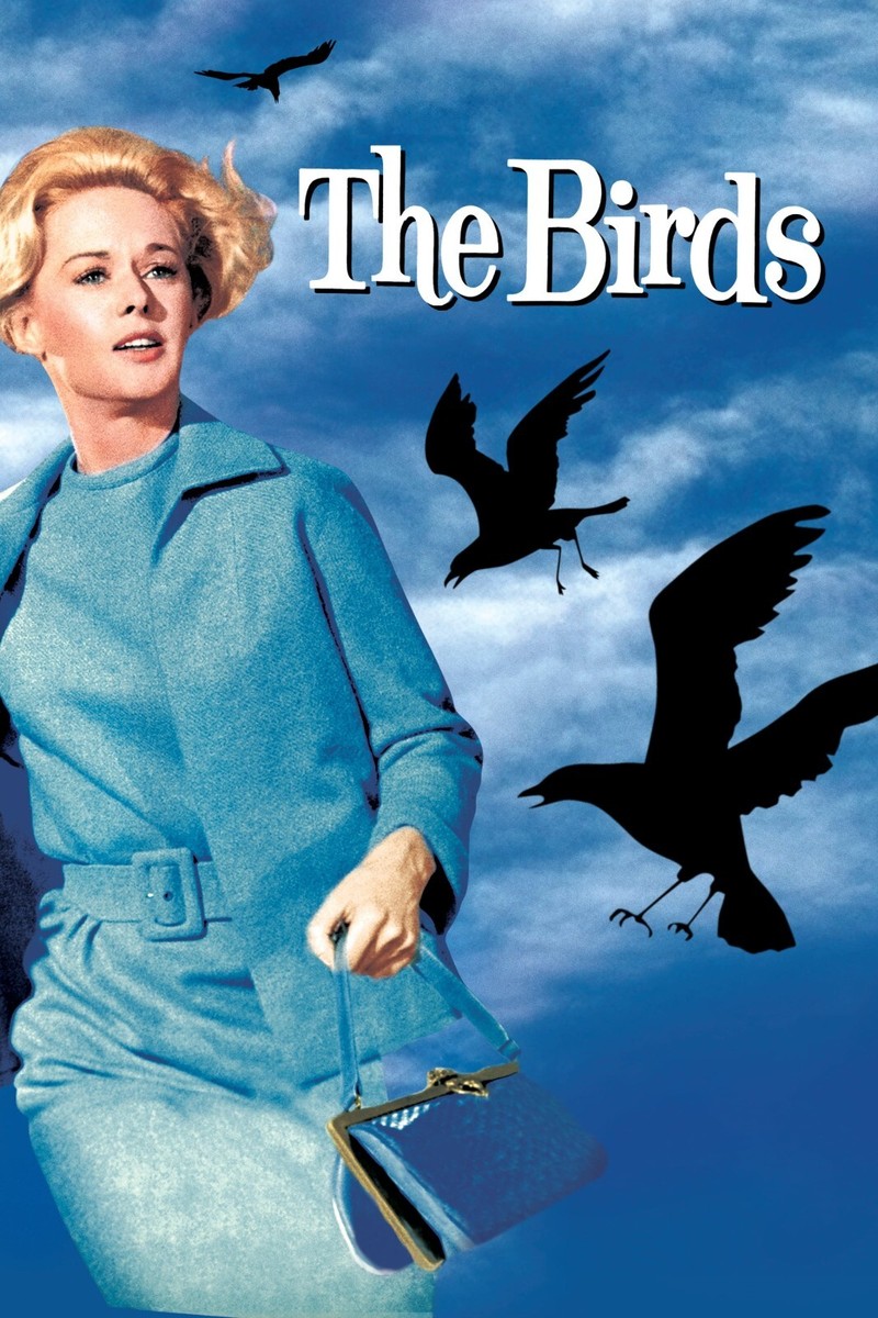 1963 The Birds Movie Poster 11X17 Alfred Hitchcock Tippi Hedren Melanie   | eBay