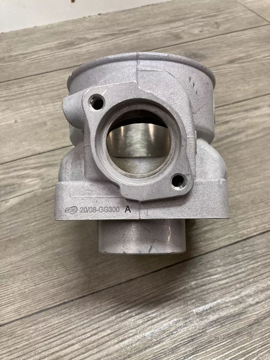 2020 GASGAS TXT GP 300 ENGINE CYLINDER GG 300 A eBay