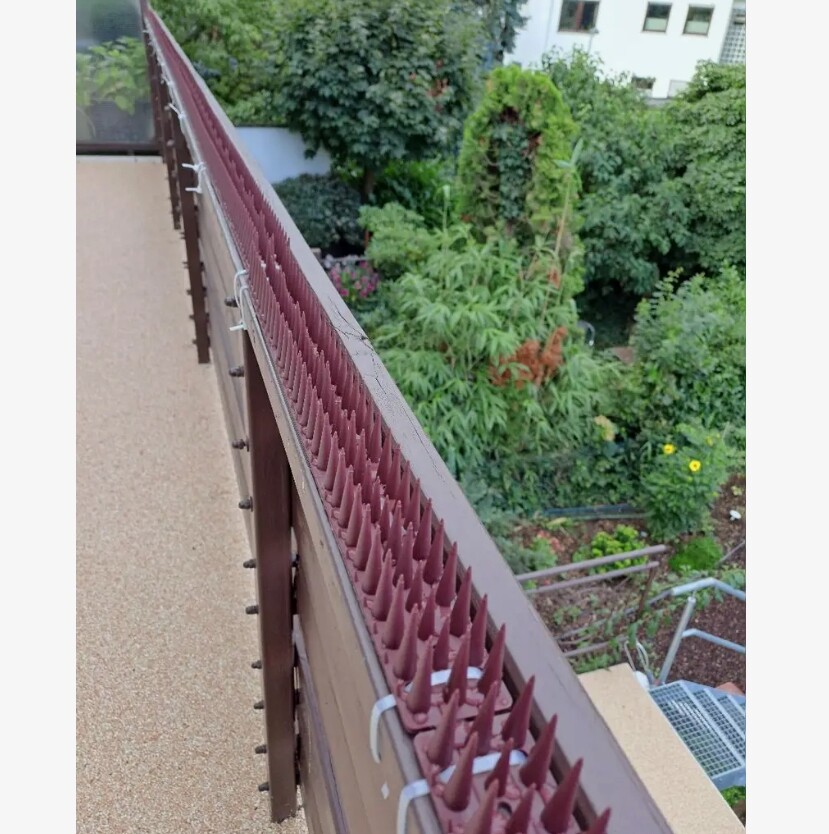 5m Bird Spikes for Roofs Windows Pigeons Deterrent Fence Wall Spikes
