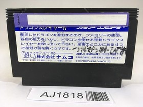 AJ1818 Dragon Slayer IV 4 NES Famicom Japan