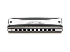 SUZUKI 10 hole Harmonica Fabulous Series F 20J in G