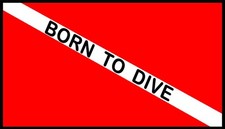 Scuba Flag Born To Dive Emblem Patch W/ Hook Loop Fastener Black Border