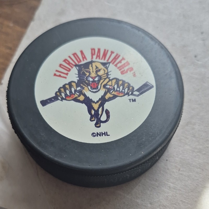 In Glas Co Florida Panthers NHL Official Licensed Ice Hockey Puck, Black Rubber