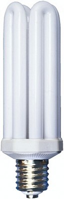 Designers Edge L765 65-Watt Fluorescent Bulb Replacement, Equivalent 300 Watt