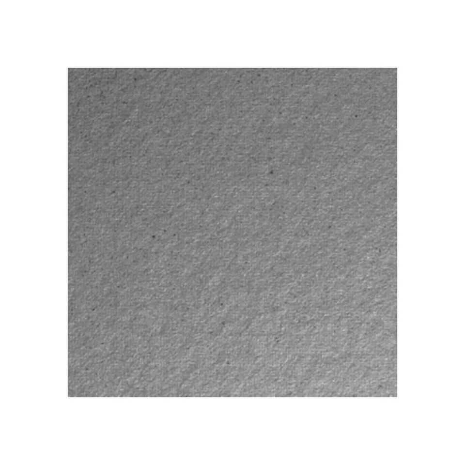 ELEKTRONIKA PLUS Universal-Glimmerscheibe für Mikrowelle - Glimmerplatte 15 x 12 cm