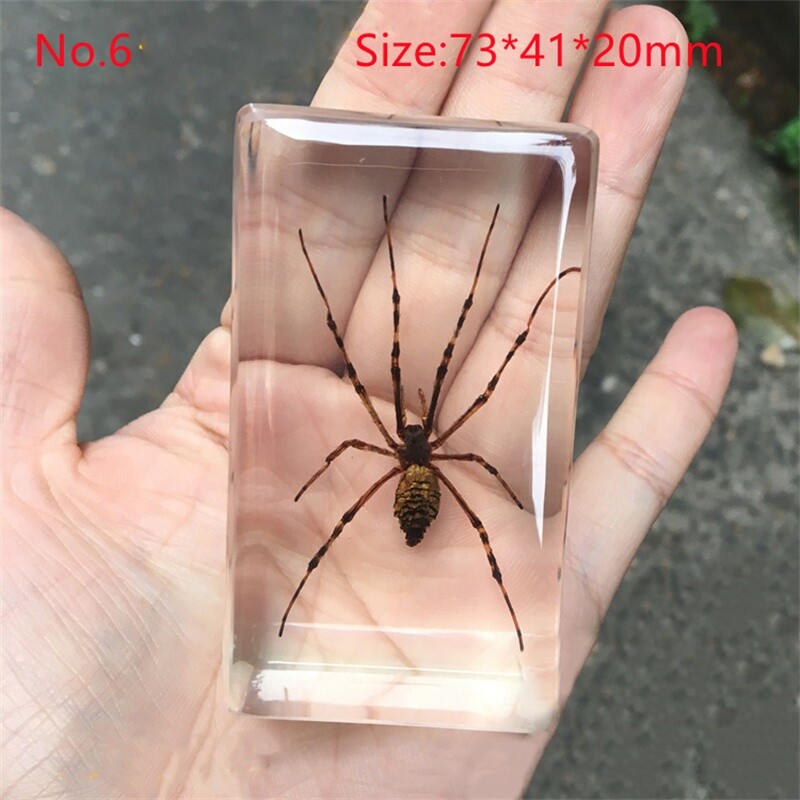 4 Insectes En Résine Transparente - Araignée, Coléoptère - Presse-Papiers Ou Décoration - Specimens Véritables