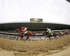 Justify 2018 Belmont Stakes Fisheye Remote Finish Photo 8" x 10 - 24" x 30" 