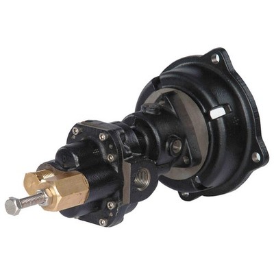 DAYTON 4KHC6 Rotary Gear Pump Head, 3/8 In., 3/4 HP 4KHC6