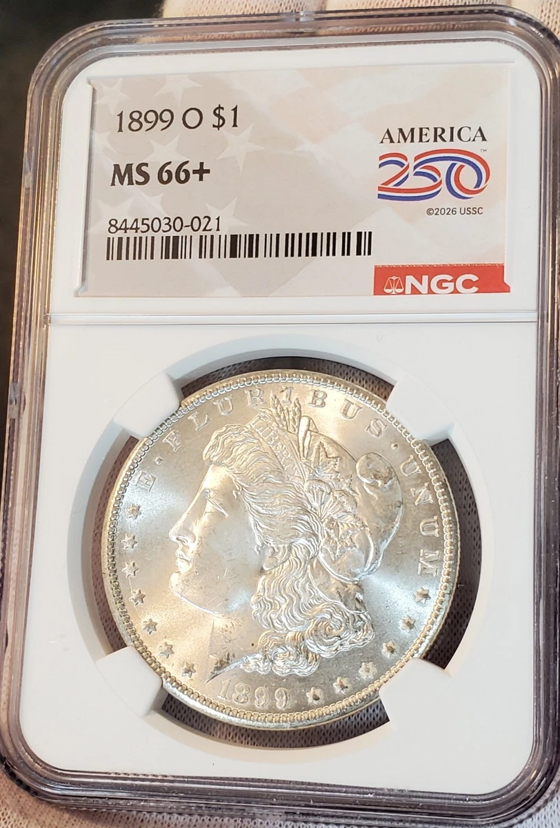 1899 Year Morgan US Dollars (1878-1921) for sale | eBay