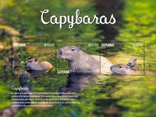 Guyana 2024 - Capybaras - Souvenir Stamp Sheet - MNH