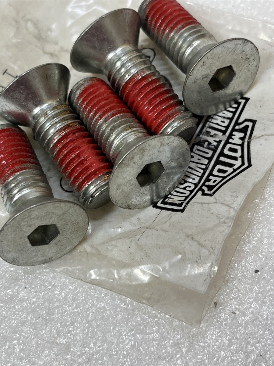 【Loose Screw】 ZZ9011800_6.jpg