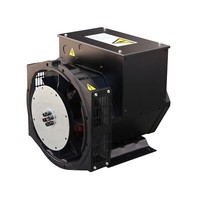Stromerzeuger Ohne Motor 400V 15Kw 3Phasig BüRstenlos Synchron Generator SAE AVR