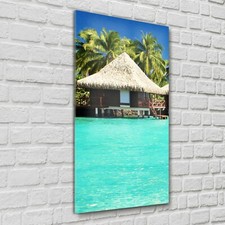 Glasbilder Wandbild Küche Überwasser Bungalows tropisches Lagunen meer 60x120