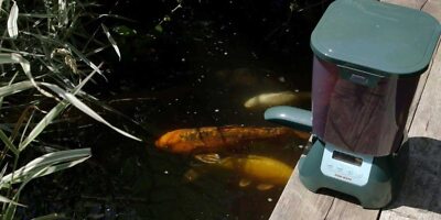 Free Shipping! Fish Mate P7000 Automatic Pond Fish Feeder - 6.5 Lbs. Capacity - Use With Sticks And Pellets, Tamper And Weather Resistant