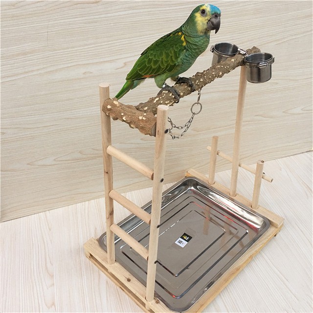 Parrot Tree Bird Stand Wood Parrot Stand Bird Training Tree Toy Play Gym Center eBay