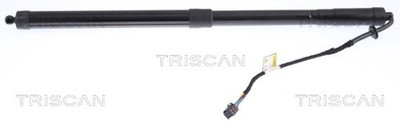 2x Gasfeder Koffer-/Laderaum TRISCAN 8710 17304/2x für LANDROVER RANGE ROVER 2