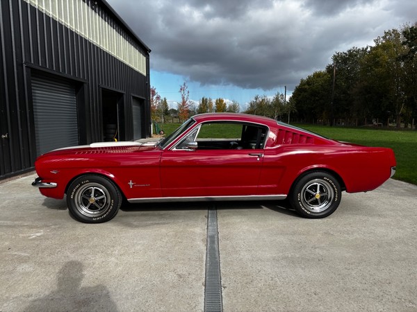 eBay - 1966 Mustang