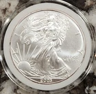 2003 American Silver Eagle 1 oz Fine Silver Beautiful Coin! Capsule ~ NO RESERVE