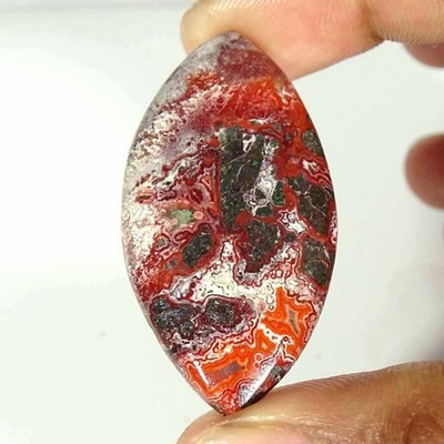42.30Cts Crazy Lace Agate Cabochon Natürlicher Lose Edelstein 24x47x5mm Marquise