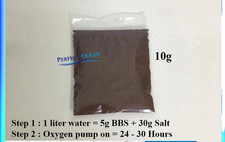 Aquamaster Artemia Brine Shrimp Eggs BBS Live Fish Food Fry Big Roe 10gm