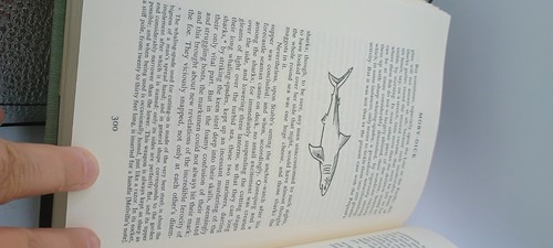 Herman Melville Moby Dick 1976 H Mumford Jones Classic Literature - Bild 6 von 14