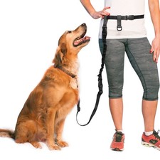 Hands Free Dog Leash, Adjustable Leash for Running, Jogging, Training and Ser...