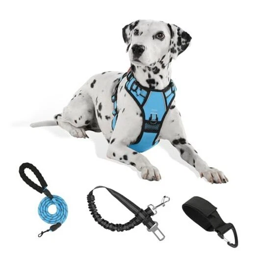 Dog Harness | No Pull Dog Harness | Reflective Oxford | Padded Large Blue