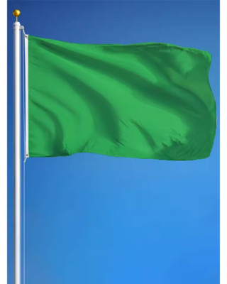 Grüne Flagge 5*3' 150*90cm groß Uni Banner Wandteppich F1 Party