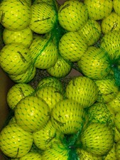 24 yellow 2025 Titleist Pro V1 Used Golf Balls in 5A Quality Condition.