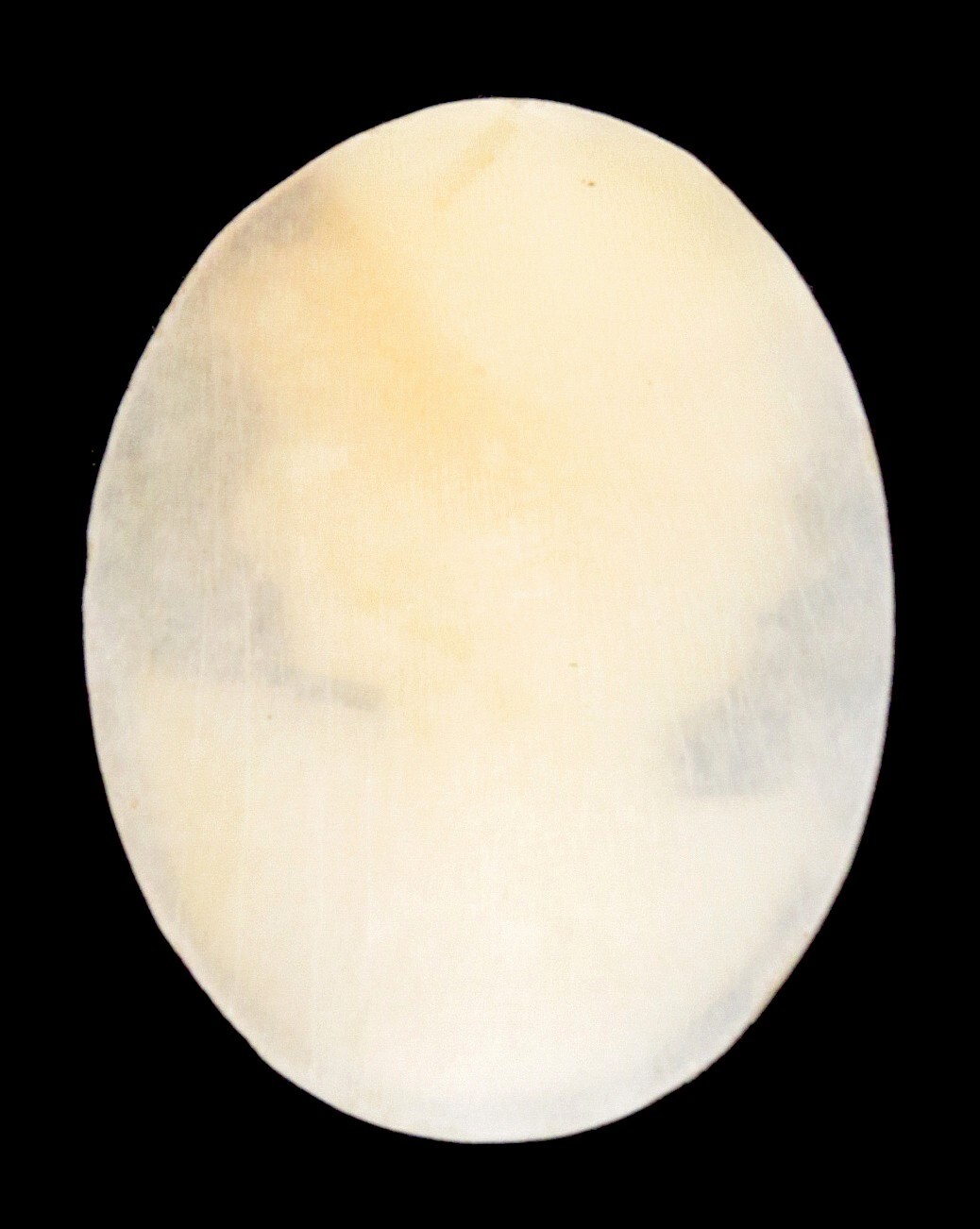 Antique Vintage Hand Carved Italian Shell Cameo Portrait Woman Italy Brooch Pin