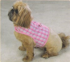 East Side Collection Madras Pink Plaid Dog Ha...