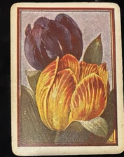 1 SWAP PLAYING CARDS - OLD WIDE US FLOWERS TULIPS