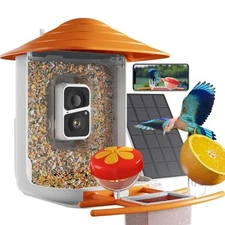  Smart Bird Feeder with Camera Solar Powered, Bird Watching, AI Identify Orange