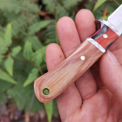 Stainless steel camping hiking sharp knife outdoor survival fruit knife - Picture 4 of 6