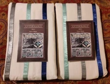 Anthology -Joli- 2 Euro Shams White with Blue Gray & Mint Ribbon Stripes