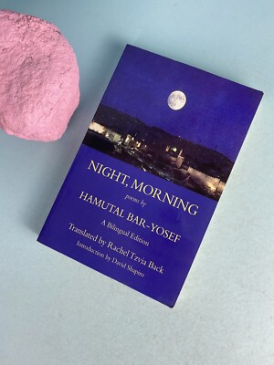 NIGHT, MORNING By Hamutal Bar-yosef 2008
