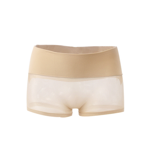 Sexy Velvet 360° Seamless Sheer See Through Pantyhose Underwear Boxer Boyshorts - Picture 10 of 10