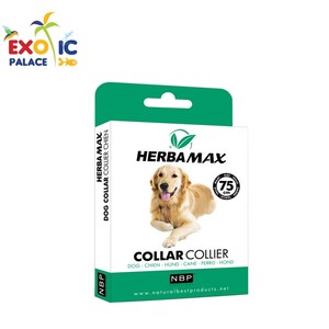 ebay dog flea collars