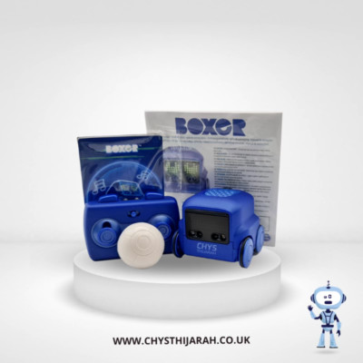Boxer Interaktiver Smart Roboter Spielzeug Kinder Jungen Mädchen Geschenk Top Zustand