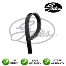 Gates V-Ribbed Belts Fits A4 Punto Spark Aveo IQ Range Rover #4924
