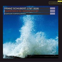 Quatuor Terpsycordes - Franz Schubert Quartettsatz - Cd - G4Z