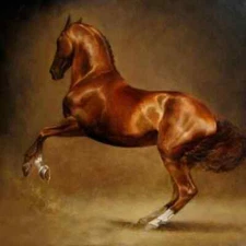 ZOPT0492 100% Handmade Painted Soaring Horse Animals Oil Painting Art On Canvas