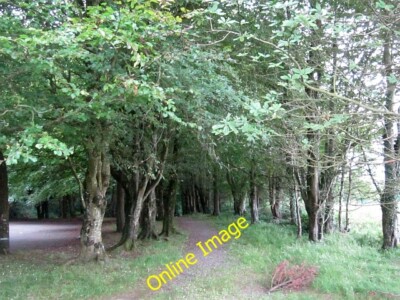 Photo 6x4 Belleek Woods Crockets Town Woodland with a car park on the edg c2012