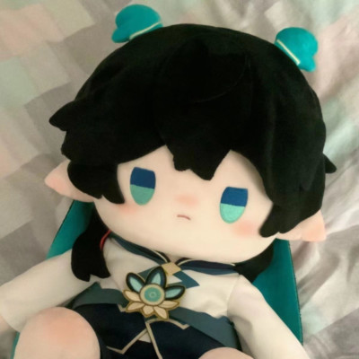 Honkai：Star Rail Dan Heng·Imbibitor Lunae 40cm Plush Doll Ornament Toy Plushie