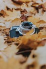 Photo Of Old Camera On Leaves Vintage Picture Wall Art Home Decor - POSTER 20x30