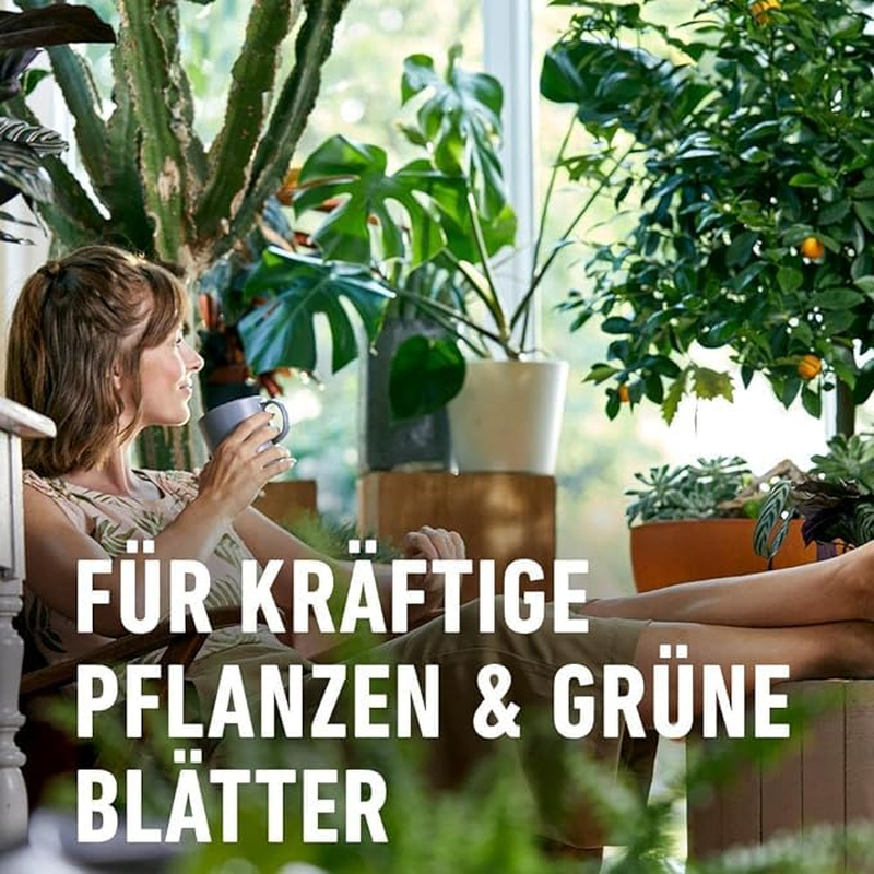 Bild 7 von 9