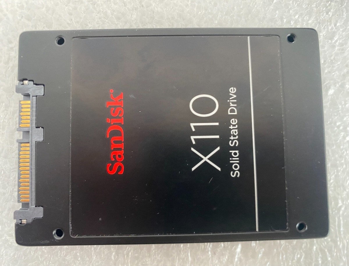 SanDisk X110 2.5