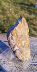 Bild 5 von 6