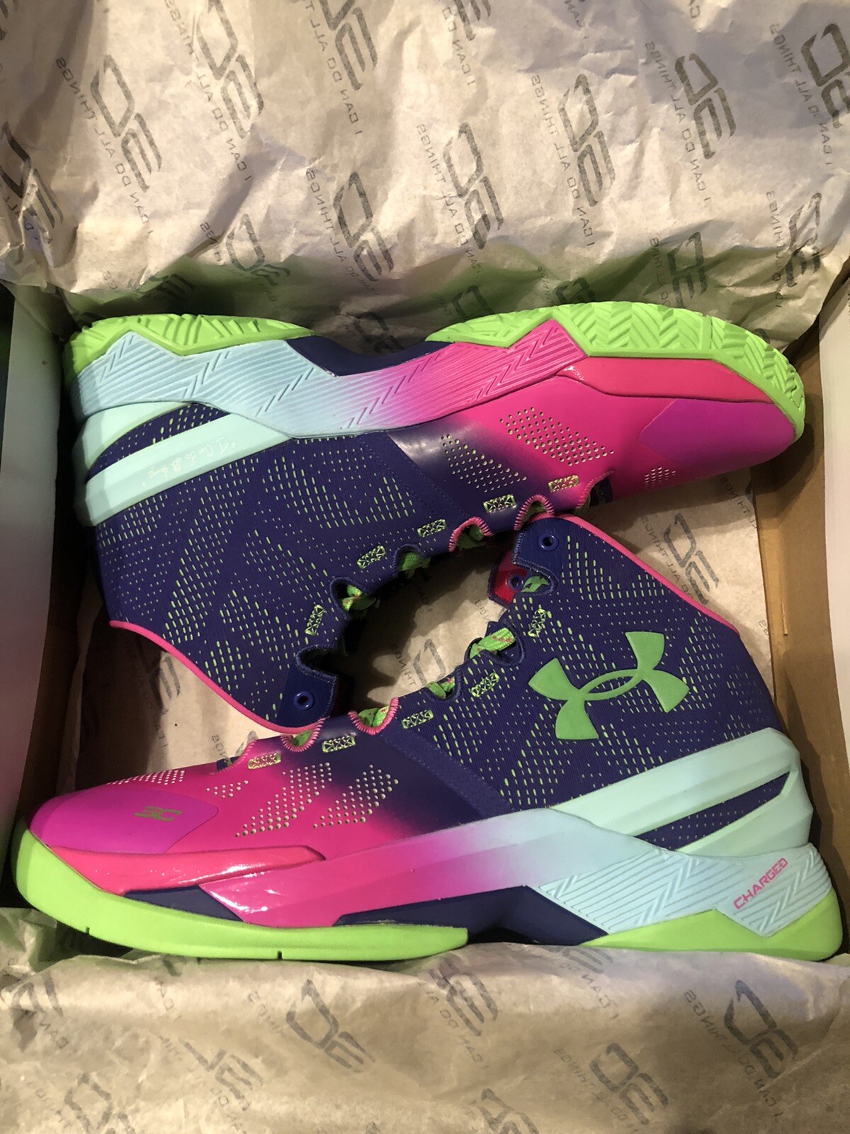 curry northern lights