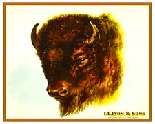 Buffalo Bison Oranges Redlands San Bernardino Citrus Fruit Crate 8x10 Photograph